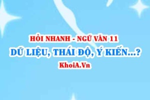 Dữ liệu, Thái độ, Ý kiến, Quan điểm của người viết trong văn bản thông tin? Ngữ Văn lớp 11